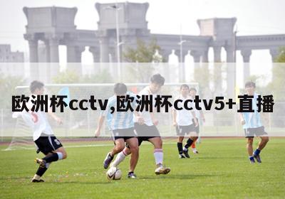 欧洲杯cctv,欧洲杯cctv5+直播